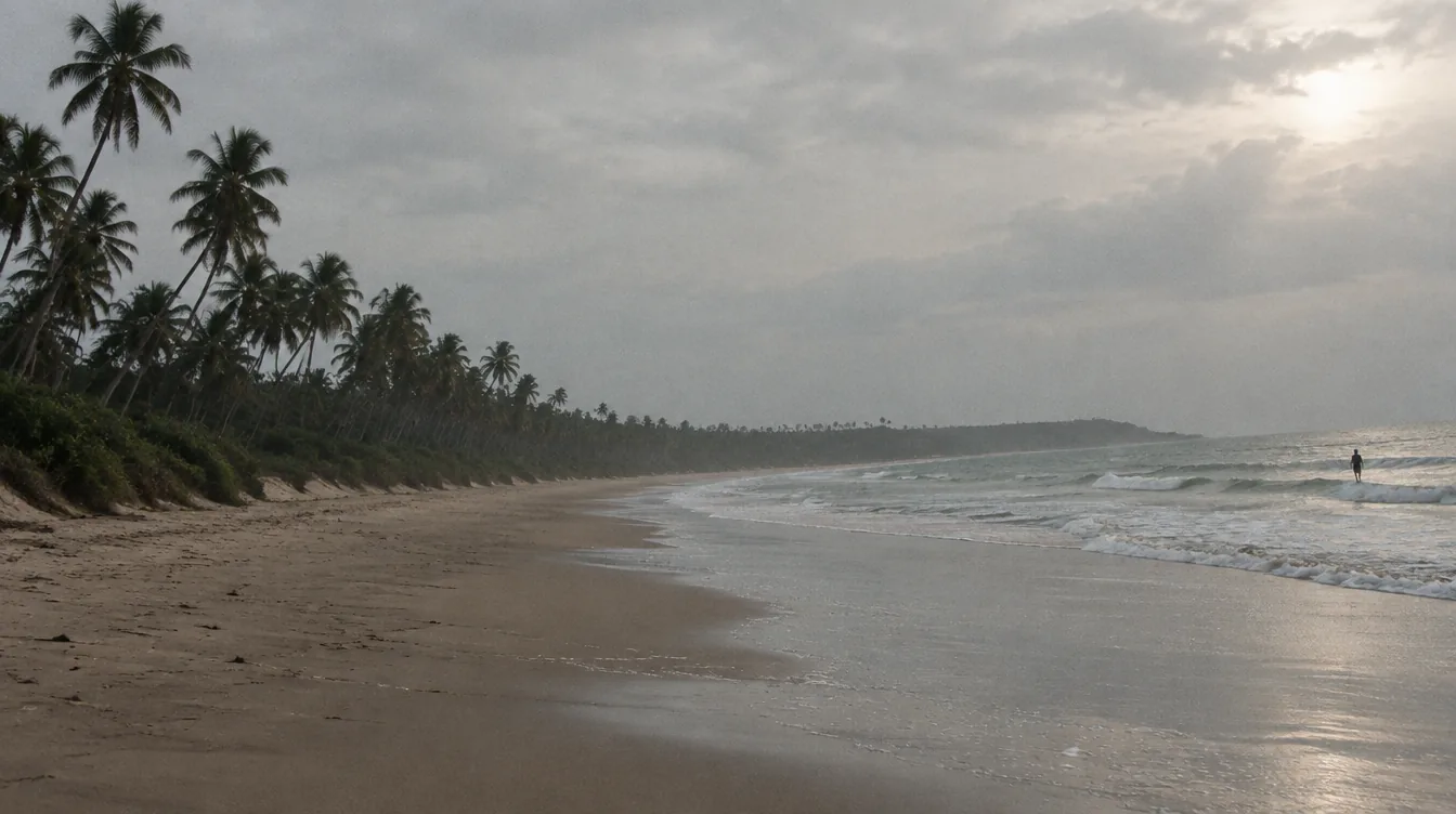 An empty curve of sand on Sri Lanka's south coast in late afternoon light